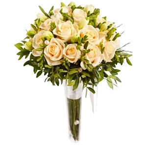 .     . Belflower -    .     .